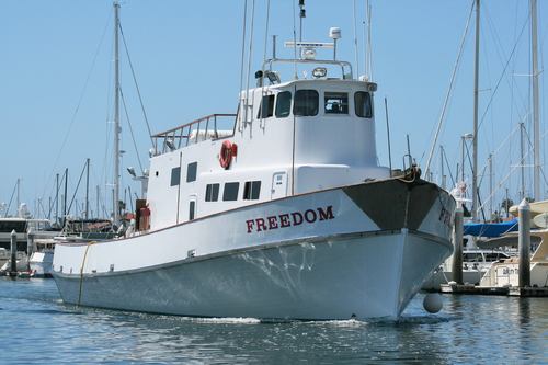 Freedom Sportfishing